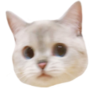 Nana_huh emote for Discord
