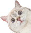 Nana_Stare emote for Discord