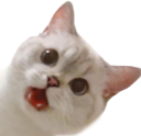 Nana_ayy emote for Discord