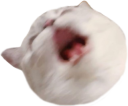 Nana_AAA emote for Discord