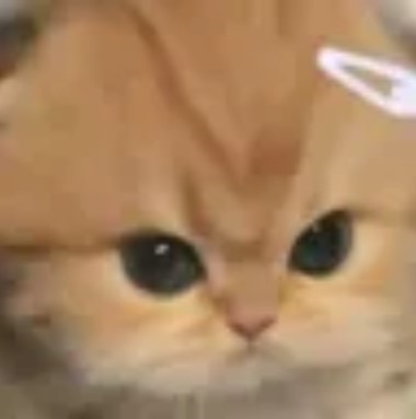 catangy emote for Discord