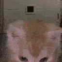 AURA emote for Discord