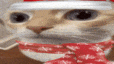 uuh emote for Discord
