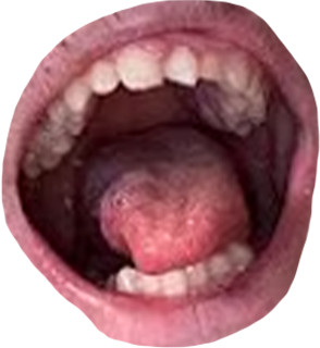 rickymouth emote for Discord