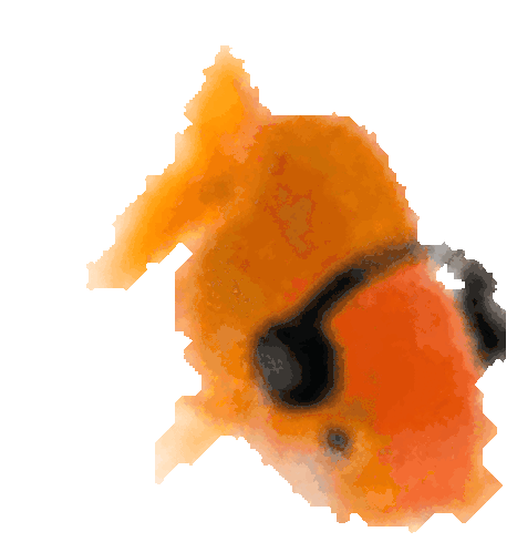 dancing_fish emote for Discord