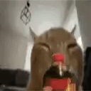 CokeShakeyBuhFlip emote for Discord