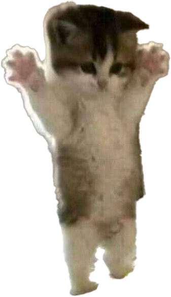 CatStand emote for Discord