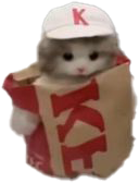 CuteKFCCat emote for Discord