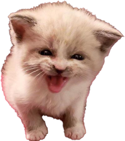 Cat_Hiss emote for Discord