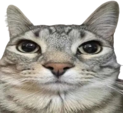 seriously emote for Discord