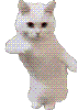 ai_cat_dance emote for Discord