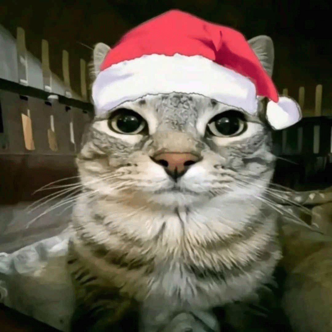 zazumerricristmas emote for Discord