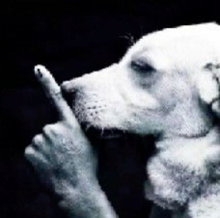 silencio1982 emote for Discord