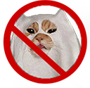 NoCatGhoust emote for Discord