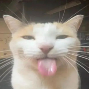 EHEH emote for Discord