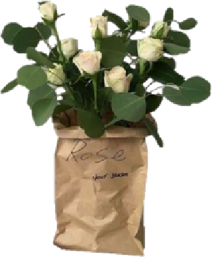 Flowerbag emote for Discord