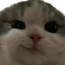 nhechmep emote for Discord
