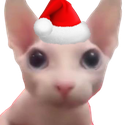 ChristmasCat emote for Discord