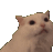 scream_cat emote for Discord