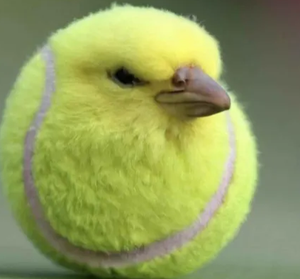 Ball emote for Discord