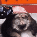 monkey_sad emote for Discord