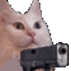 cat_gun emote for Discord