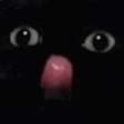 silly_cat emote for Discord