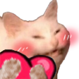 cat_heart emote for Discord