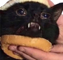 cat_burger emote for Discord