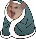 kitty_blanket emote for Discord