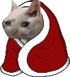 kitty_blanky emote for Discord
