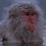 water_monkey emote for Discord