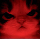 Kitty_Angry emote for Discord