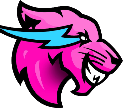 Mrbeast_React emote for Discord