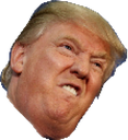 Donald_trump_angry emote for Discord