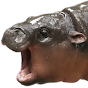moo_deng emote for Discord