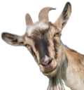 Goatbeeee emote for Discord