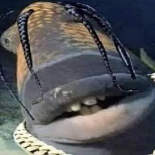 trafish_scott emote for Discord