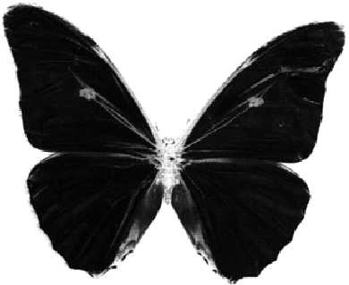 black_butterfly emote for Discord