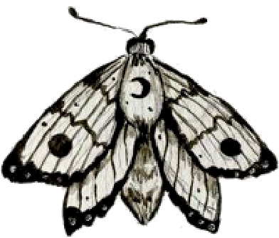 moth emote for Discord