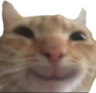 catsmile static emote