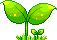 Sprout emote for Discord