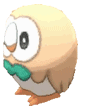 Rowlet emote for Discord