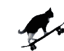 SkateboardingKitty emote for Discord