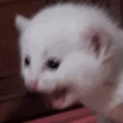 aaaaaa emote for Discord