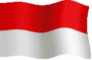 indonesia_flag emote for Discord