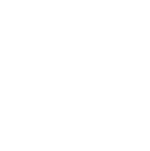Developer emote for Discord