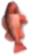 Fish emote for Discord