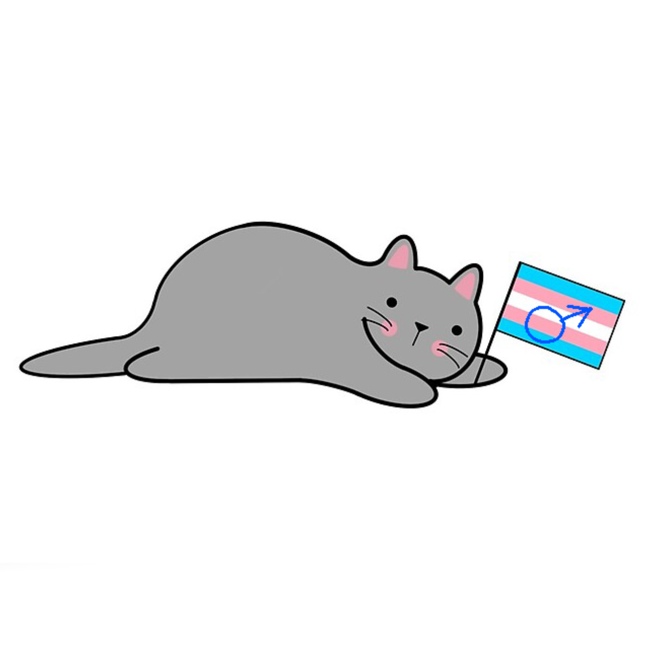 Trans_Male_Cat emote for Discord