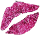 AyeshasKiss emote for Discord